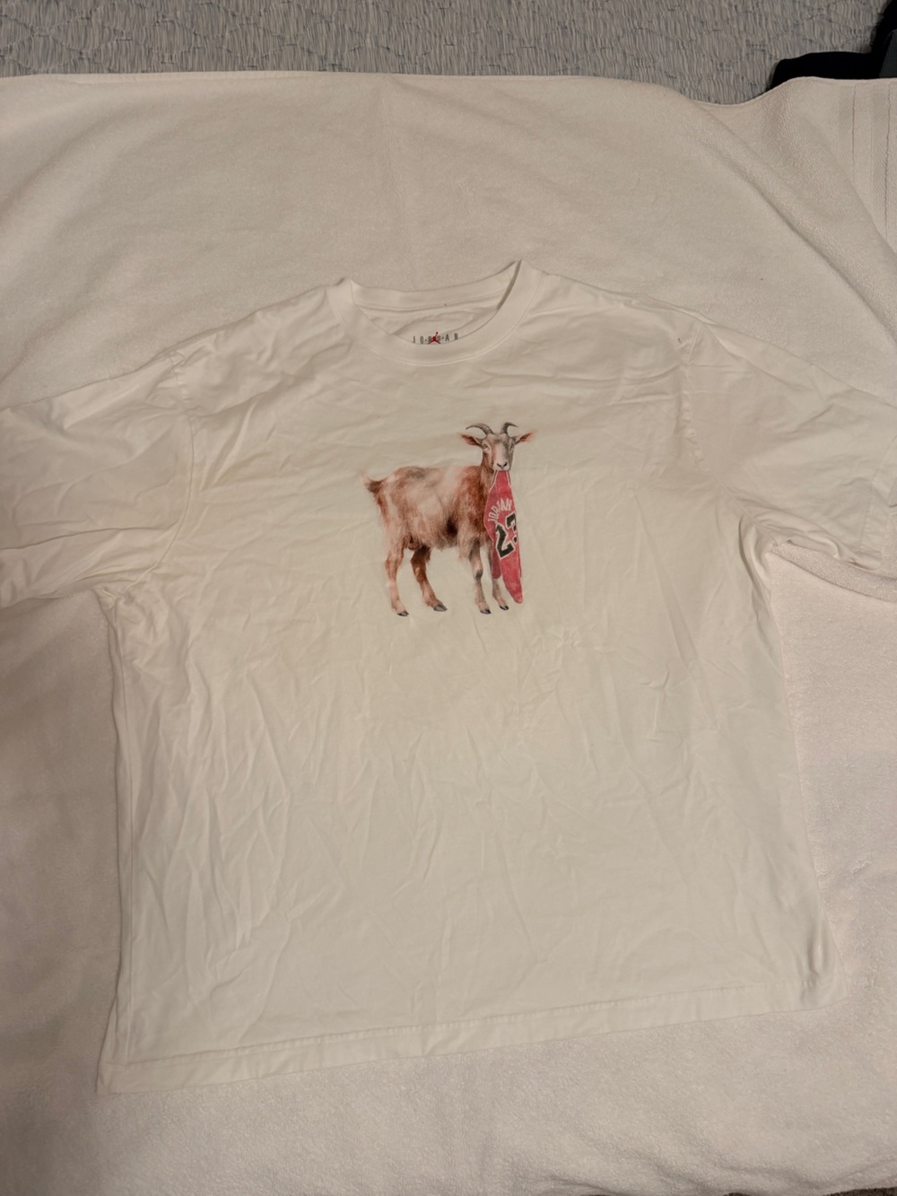 Jordan GOAT Shirt